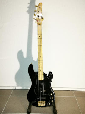 Hohner Professional Bass